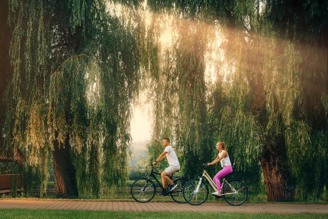 Zacisze Nad Nida Resort Pinczow Eksteriør bilde